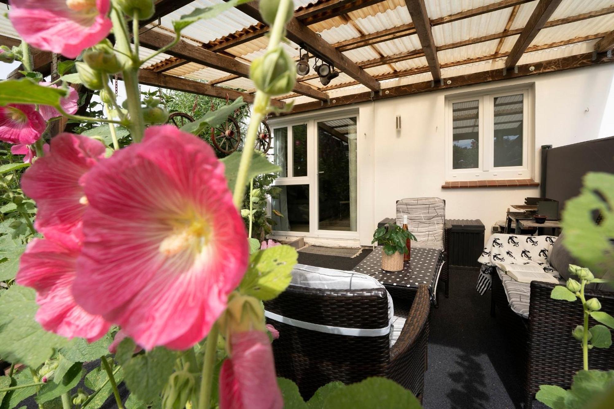 Haus Waldfrieden Ferienhaeuschen Waldfrieden Apartment Haffkrug Ngoại thất bức ảnh