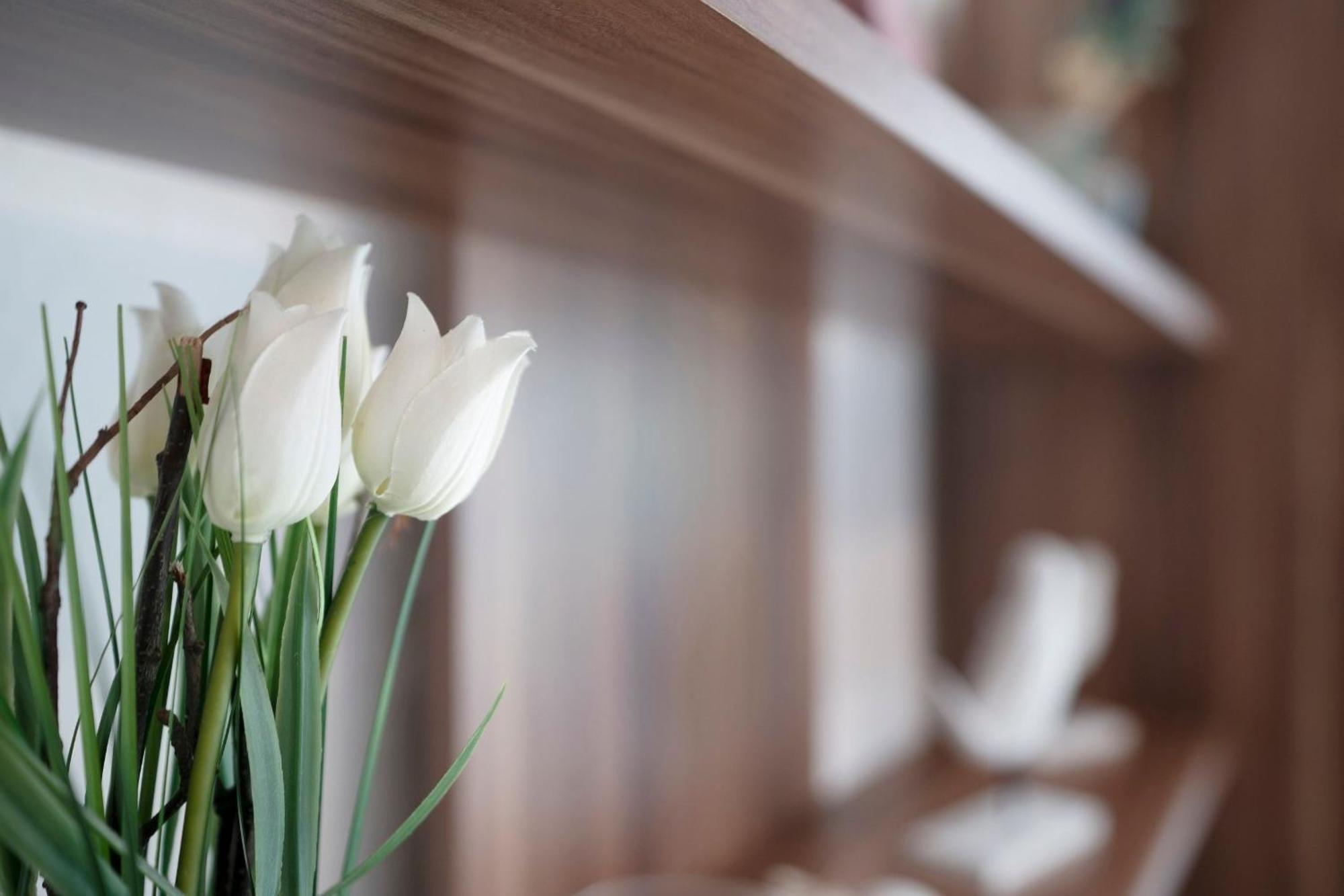 Haus Waldfrieden Ferienhaeuschen Waldfrieden Apartment Haffkrug Ngoại thất bức ảnh